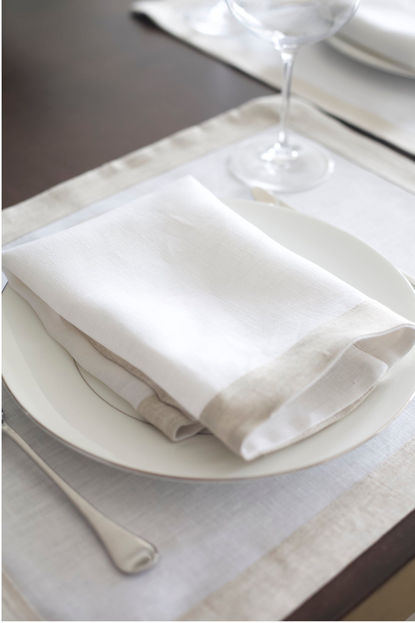 Set of 4 Contrast Border Dinner Napkin Oatmeal/White